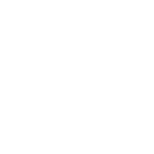 Icon - Altersvorsorge - Ergebnis